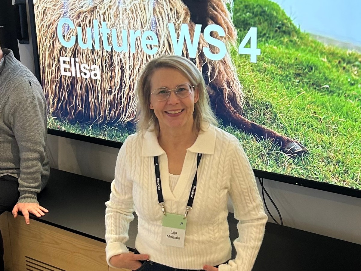 Finnish Happiness in Software Development